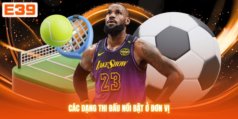 Các dạng thi đấu nổi bật ở đơn vị